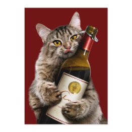 Small Cat With Wine Bottle Invitation Front View