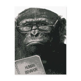Small Chimp Reading Postinvitations Front View