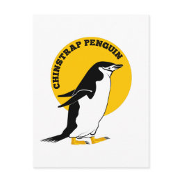 Small Chinstrap Penguin Postinvitations Front View