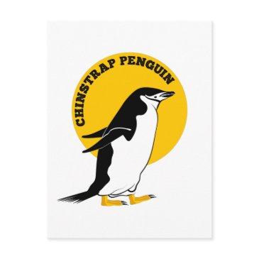 chinstrap penguin postinvitations