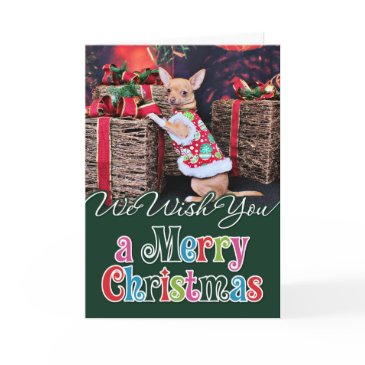 christmas - chihuahua - matty holiday invitations