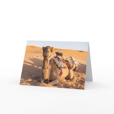 close-up on camel in oman desert invitations