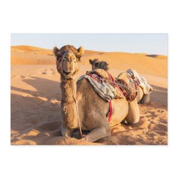 close-up on camel in oman desert invitation