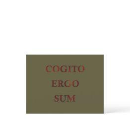 Small Cogito Ergo Sum Holiday Postinvitations Front View
