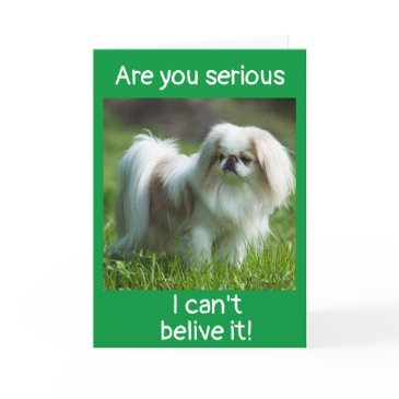 *congratulations* on your *new puppy* invitations