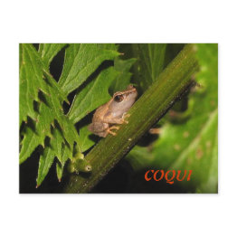 Small Coqui Postinvitations Front View