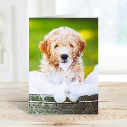 Small Custom Pet Photo Greeting Invitations Front View