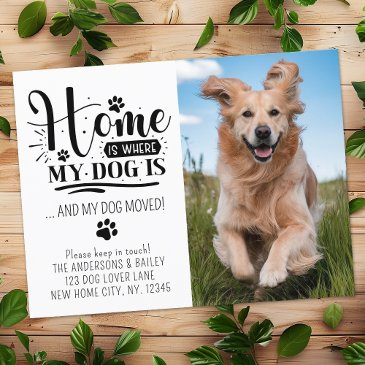 custom pet photo weve moved new address dog moving announcement postinvitations