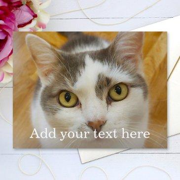 custom photo and name personalized postinvitations