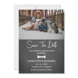 Small Custom Photo Dog Theme Modern Save The Date Front View