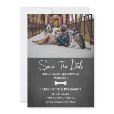 custom photo dog theme modern save the date
