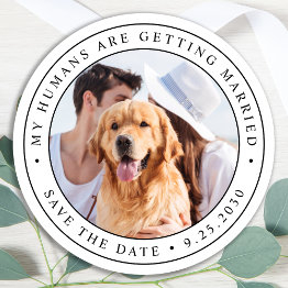 Small Custom Photo Pet Dog Wedding Save The Date Classic Round Sticker Front View