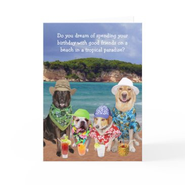 customizable funny dogs tropical paradise birthday invitations