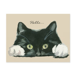 Small Cute Black And White Cat Hello Postinvitations Front View