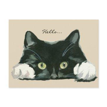 cute black and white cat hello postinvitations