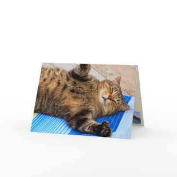 cute cat big hugs birthday invitations