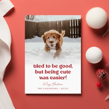 cute dog funny pet photo christmas holiday invitations