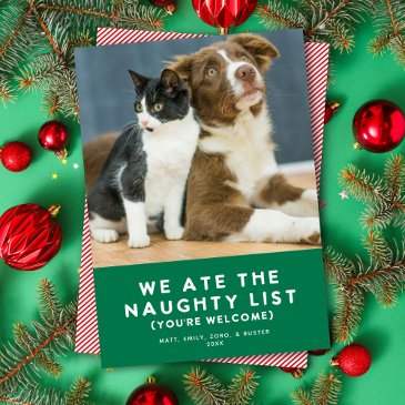 cute funny naughty list pet photo christmas green holiday invitations