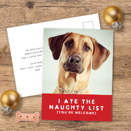 Small Cute Funny Naughty List Pet Photo Christmas Red Holiday Postinvitations Front View