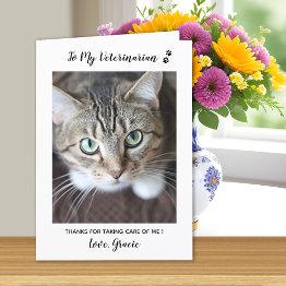 Small Cute Kitten Veterinarian Pet Care Cat Pet Photo Thank You Invitations Front View