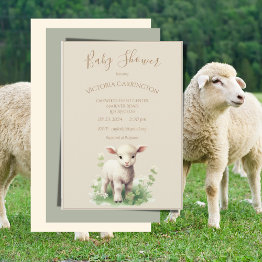 Small Cute Lamb Greenery Neutral Baby Shower Invitation Front View