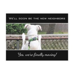 Small Cute Nosey White Puppy Dog Spying On Neighbors Ann Announcement Postinvitations Front View
