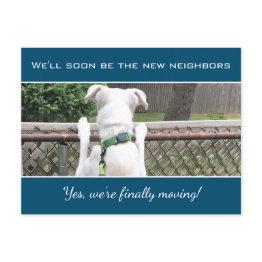 Small Cute Nosey White Puppy Dog Spying On Neighbors Announcement Postinvitations Front View