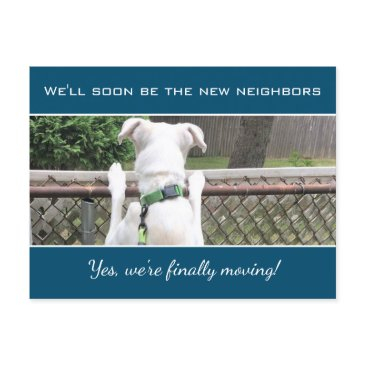 cute nosey white puppy dog spying on neighbors announcement postinvitations