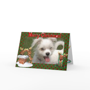 cute reindeer photo frame christmas invitations