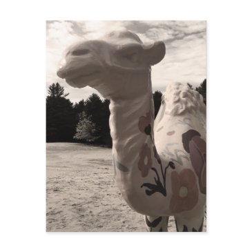 desert of maine postinvitations