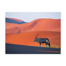 Small Deserts | Namib Desert Oryx Postinvitations Front View