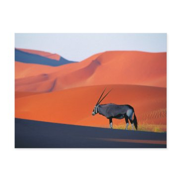 deserts | namib desert oryx postinvitations