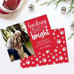 Small Dog Barking Spirit Bright Paws Red Christmas Holiday Invitations Front View