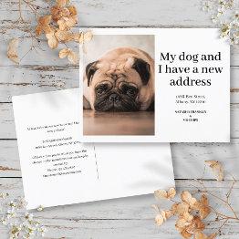Small Dog Pet Photo New Address I've Moved Modern Announcement Postinvitations Front View