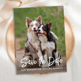 Small Dog Wedding Personalized Pet Photo Save The Date Announcement Postinvitations Front View