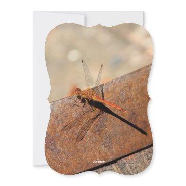 dragonfly design with brown holiday invitations