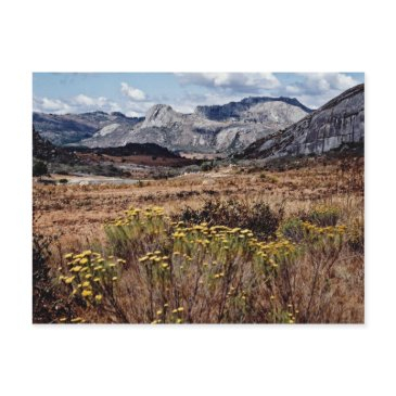eastern highlands, zimbabwe flowers postinvitations
