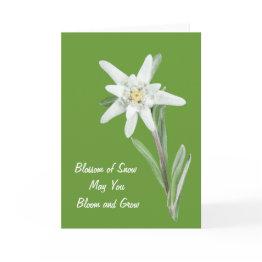 Small Edelweiss Invitations Front View