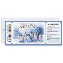 Small Editable Antarctica Plane Ticket Antarctica Trip Invitation Front View