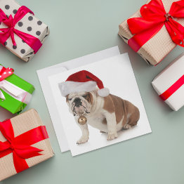 Small English Bulldog Wearing Santa Hat Holiday Invitations Front View