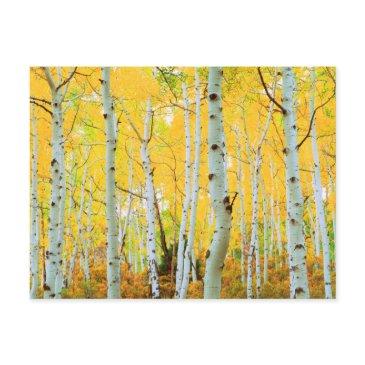fall colors of aspen trees 1 postinvitations