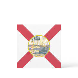 Small Florida Flag: The Sunshine State Of Floridians Invitation Front View