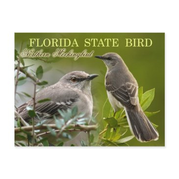 florida state bird - mockingbird postinvitations