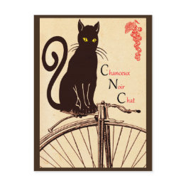 Small French Cat Postinvitations Front View