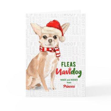 from the dog funny chihuahua christmas holiday invitations