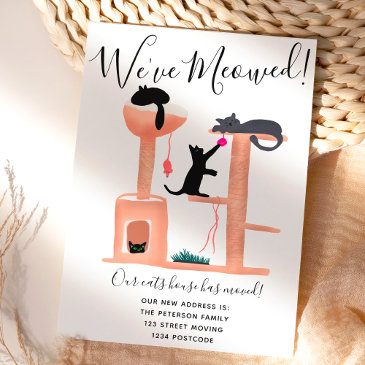 fun cats house illustration moving announcement