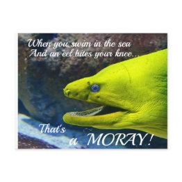 Small Funny Amore (a Moray) Valentine Postinvitations Front View