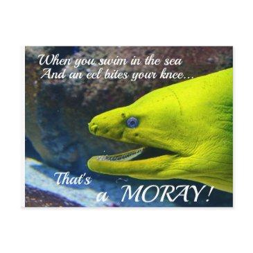 funny amore (a moray) valentine postinvitations