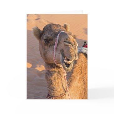 funny camel invitations