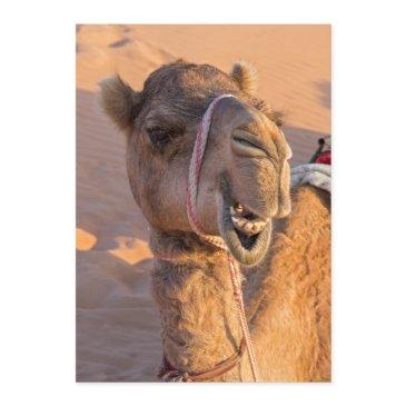 funny camel invitation